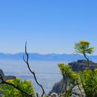 Cape Town - Table Mountain