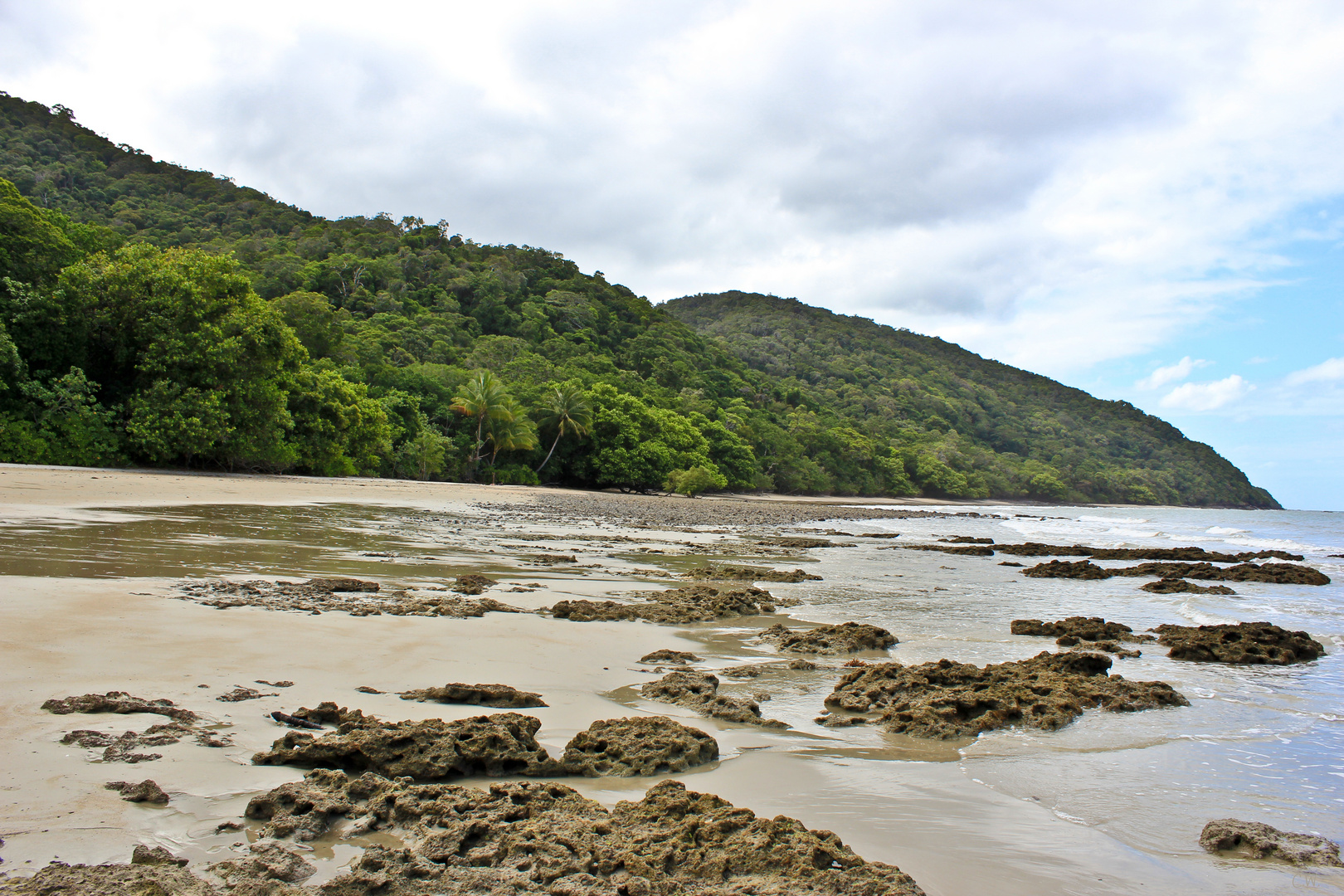 Cape Tribulation