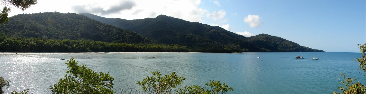 Cape Tribulation