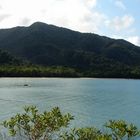 Cape Tribulation