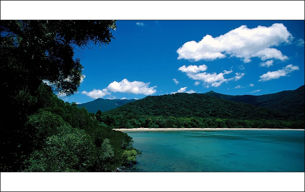 [ Cape Tribulation ]