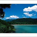 [ Cape Tribulation ]