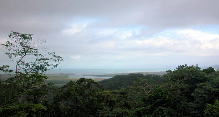 Cape Tribulation