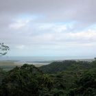 Cape Tribulation