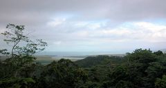 Cape Tribulation