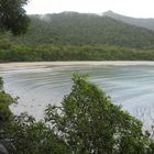 cape tribulation