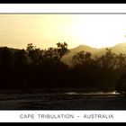 Cape Tribulation