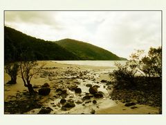 Cape Tribulation