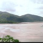 Cape Tribulation - Australien