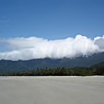 Cape Tribulation