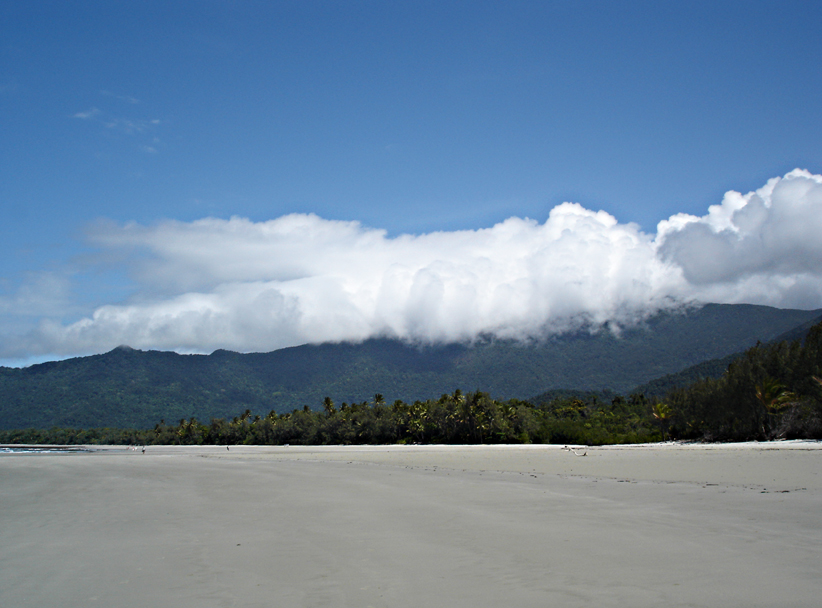 Cape Tribulation