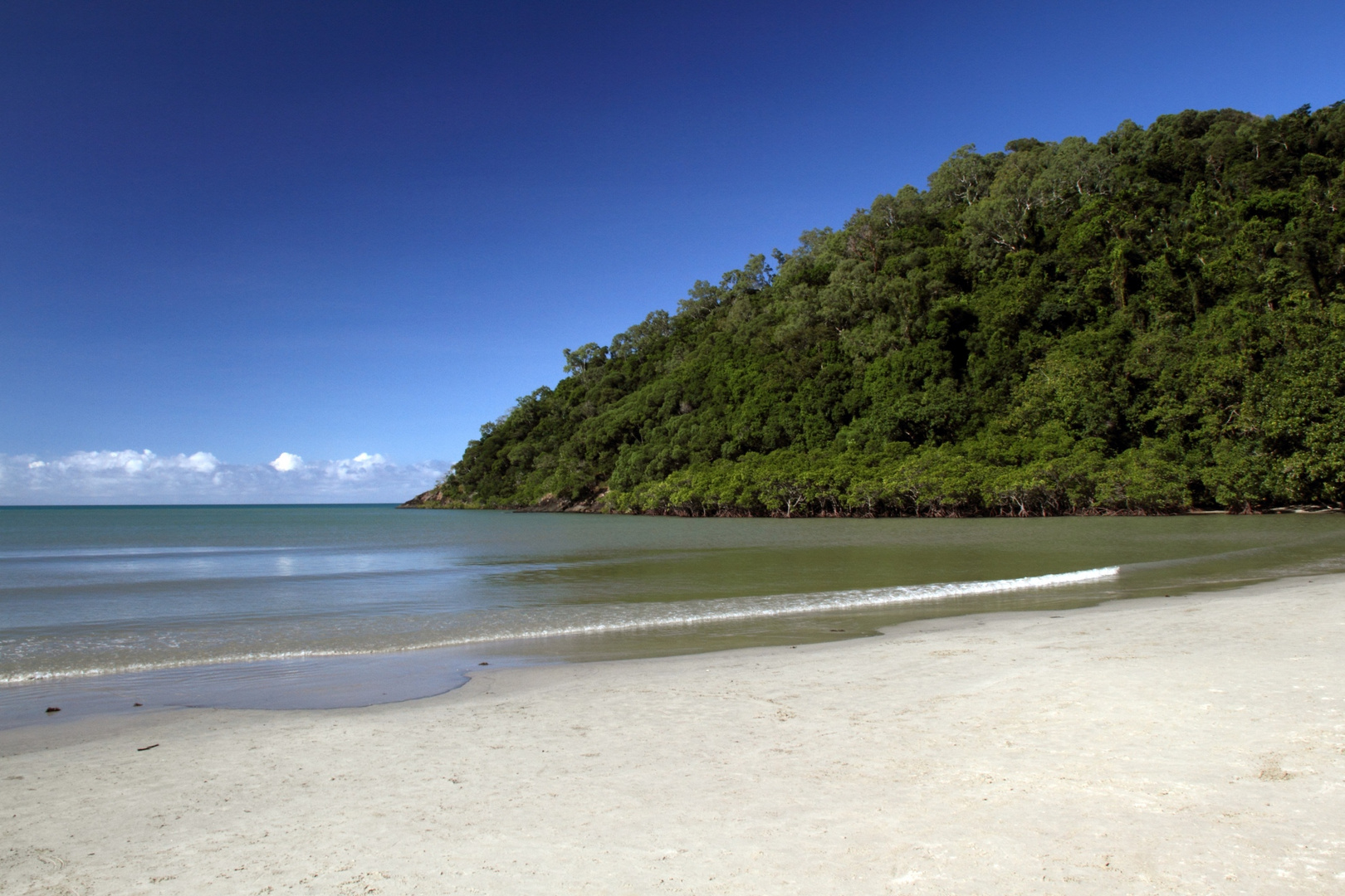 Cape Tribulation