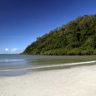 Cape Tribulation