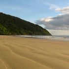 Cape Tribulation