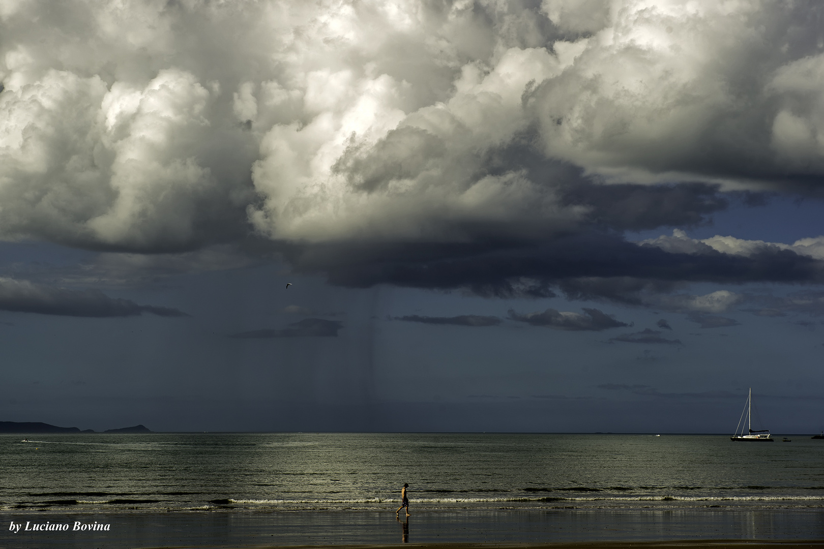 Cape Tribulation