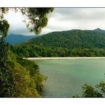 Cape Tribulation II