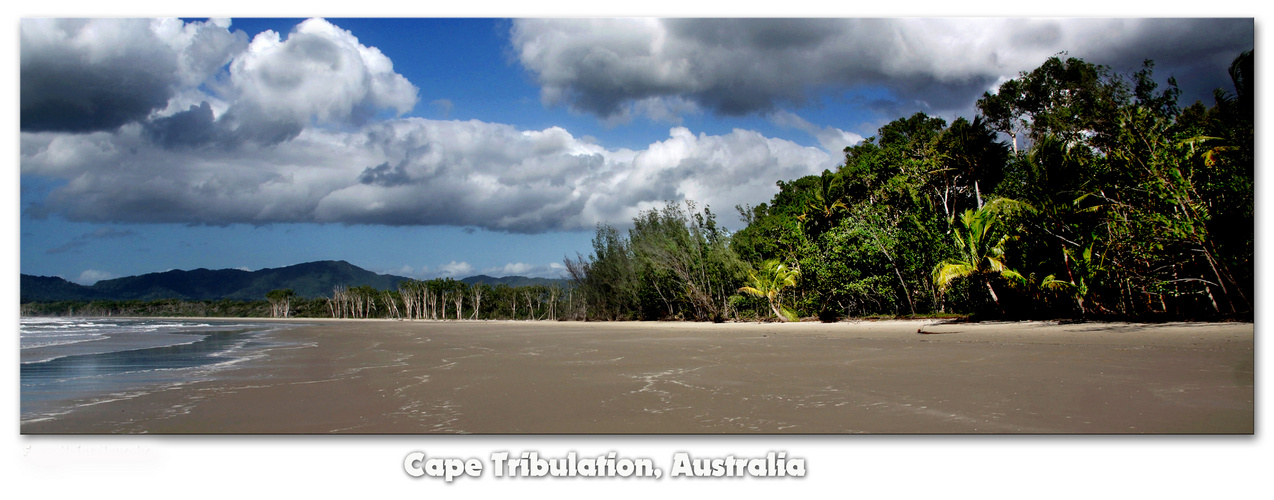 Cape Tribulation, Queensland