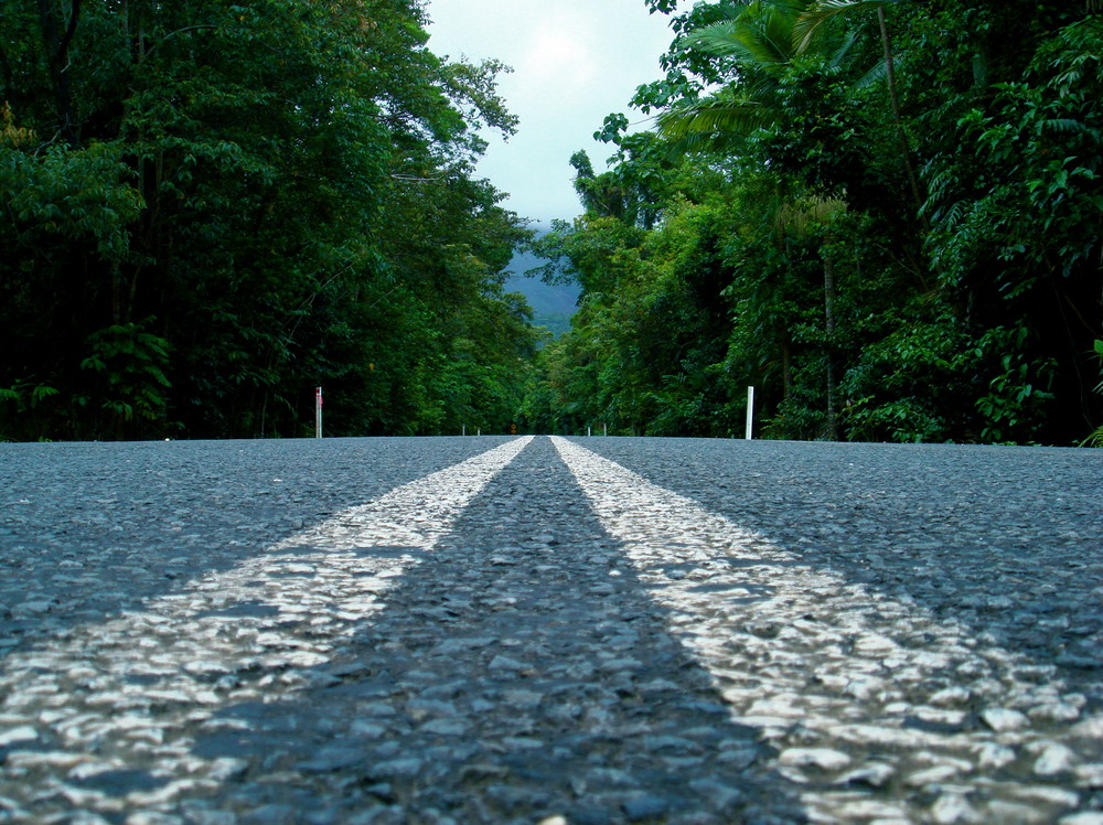 Cape Tribulation Road