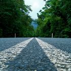 Cape Tribulation Road