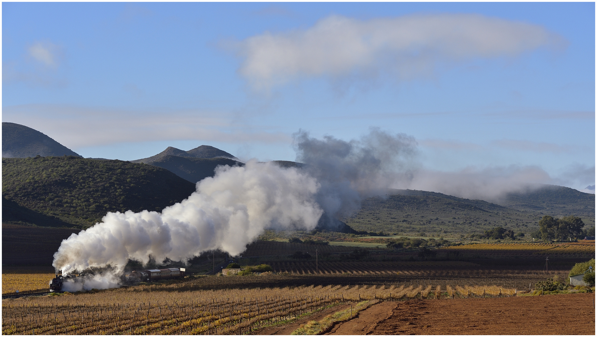 Cape Winelands I