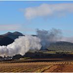 Cape Winelands I