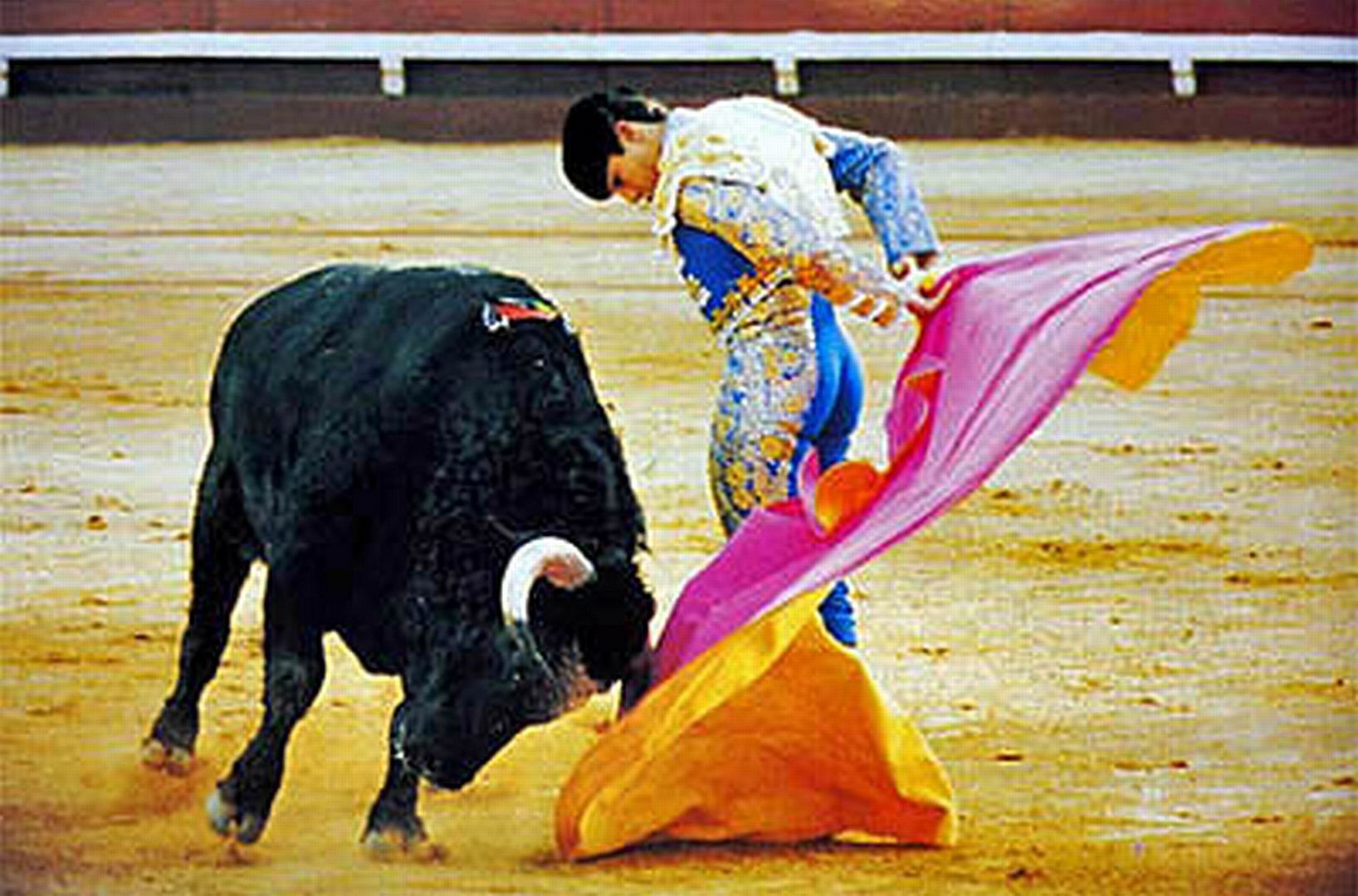 Cape work at bullfight