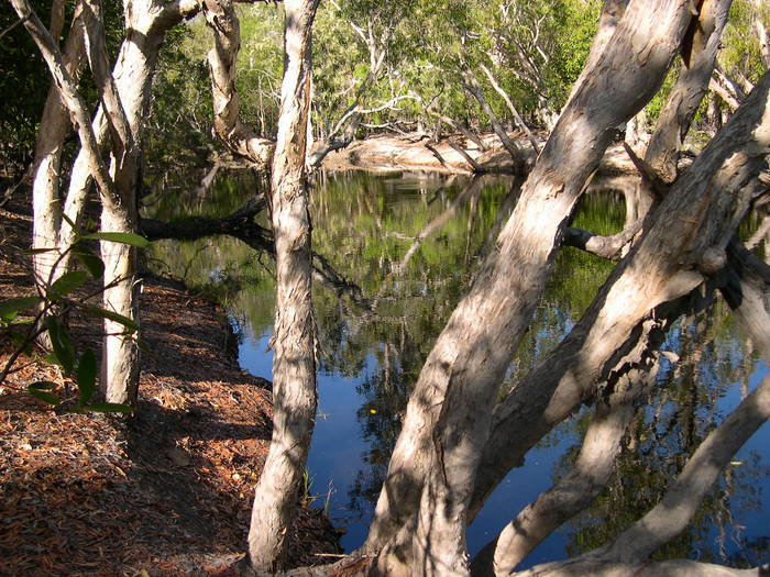 Cape York, Saltwater Creek