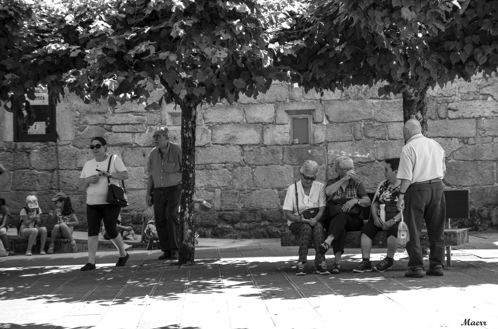 Capeando el calor bajo los tilos