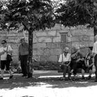 Capeando el calor bajo los tilos