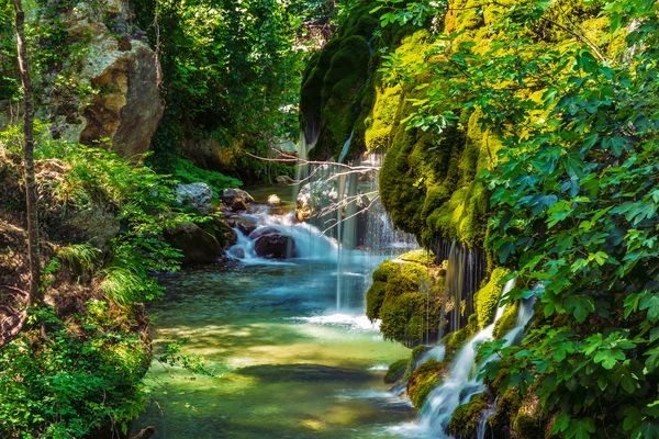 Capelli di Venere...