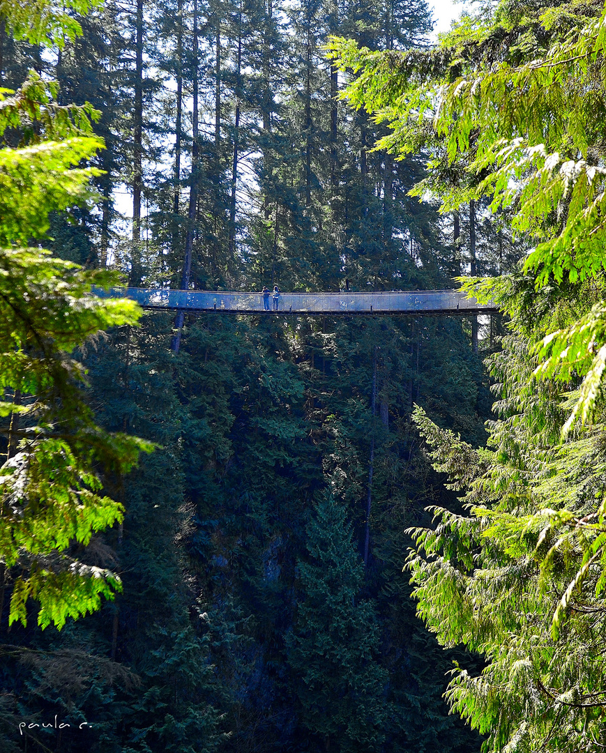 Capilano Rd, Canada