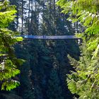 Capilano Rd, Canada