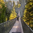 Capilano Suspension Bridge