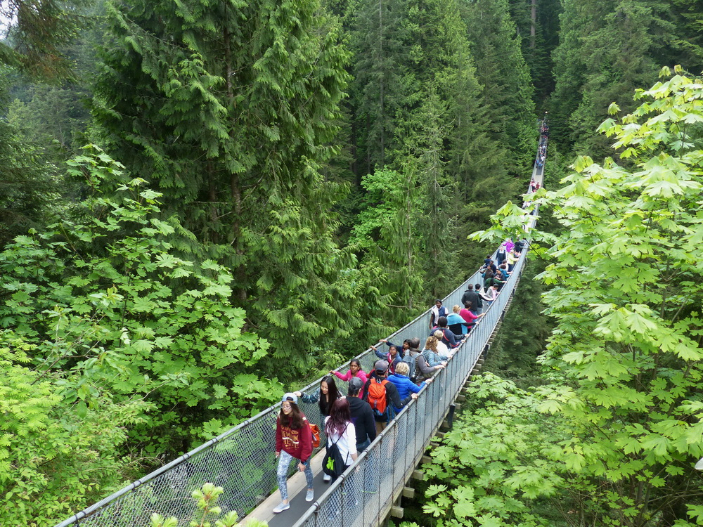 Capilano Suspension Bridge