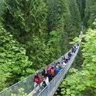 Capilano Suspension Bridge