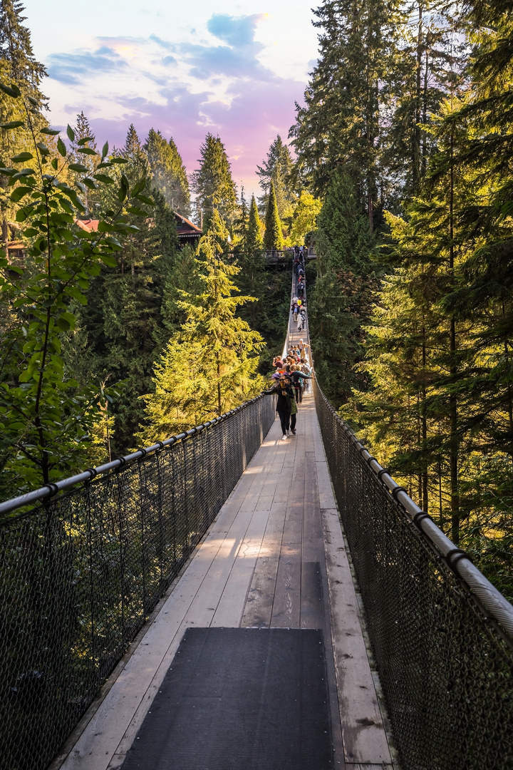 Capilano Suspension Bridge