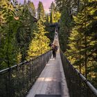 Capilano Suspension Bridge