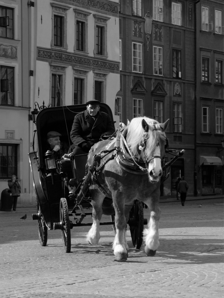 capital horse in the old town