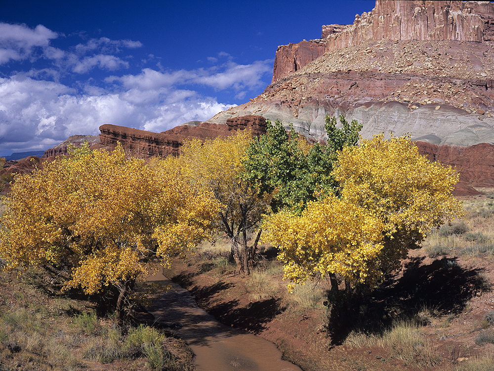 Capital Reef