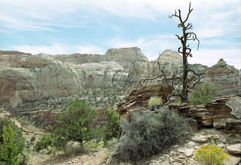 Capital Reef NP - Golden Thron