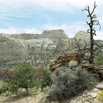 Capital Reef NP - Golden Thron