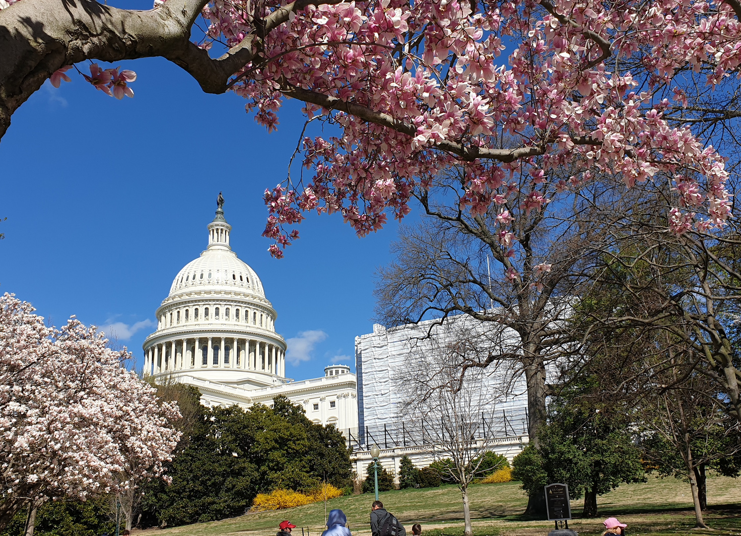 Capitol