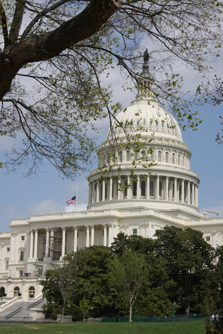 Capitol Building Washington