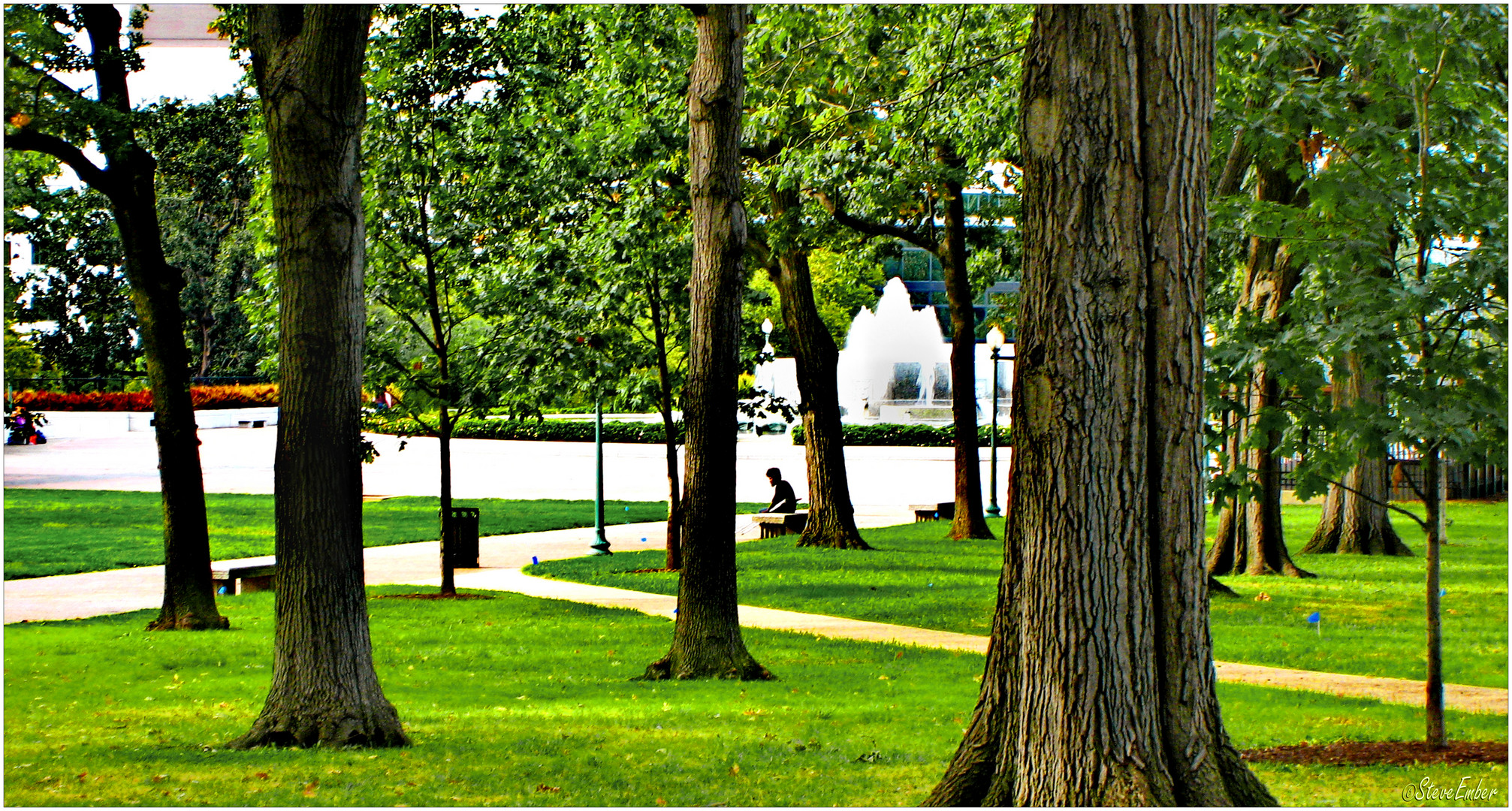 Capitol Hill Summer - A Quiet Moment ...