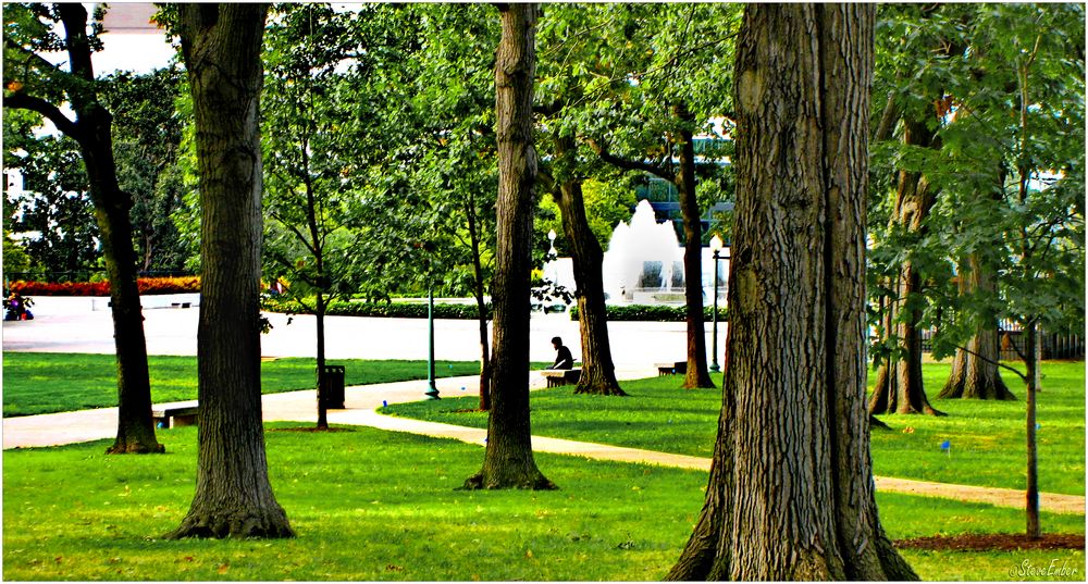 Capitol Hill Summer - A Quiet Moment ...