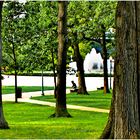 Capitol Hill Summer - A Quiet Moment ...