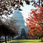  ... CAPITOL ... im Herbstdunst ...