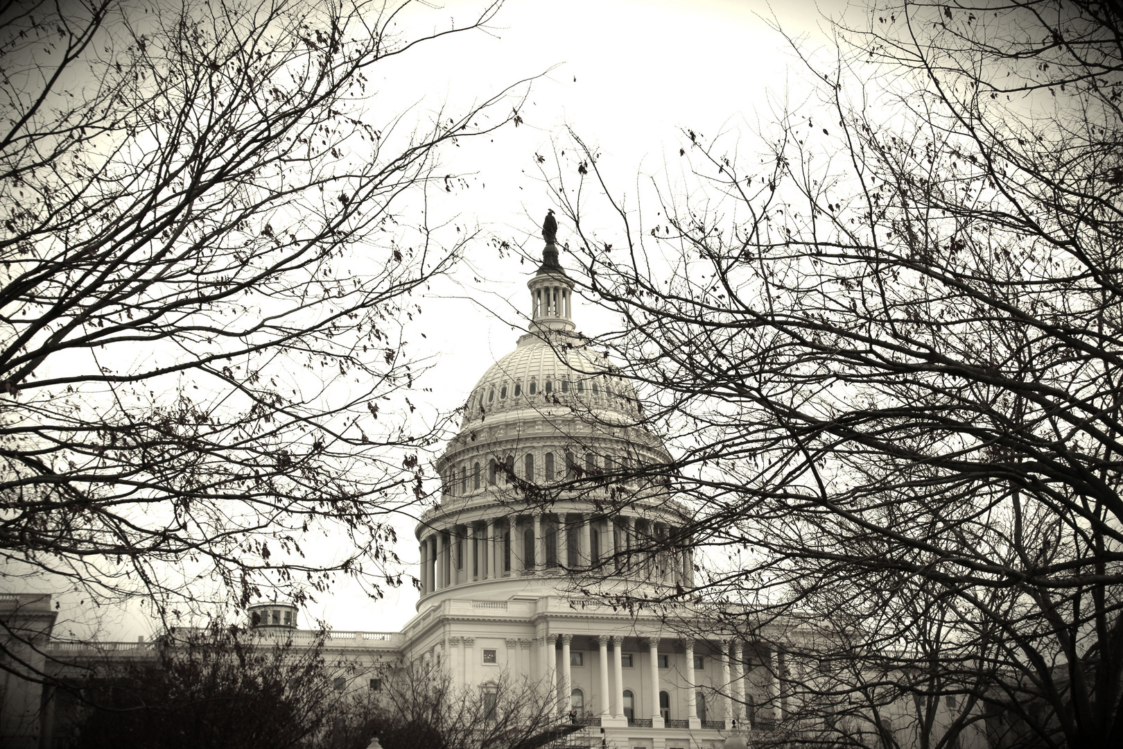 Capitol im Winter