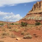 Capitol Reef #1