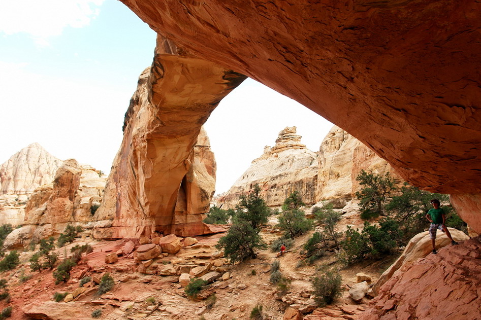 ~ Capitol Reef ~